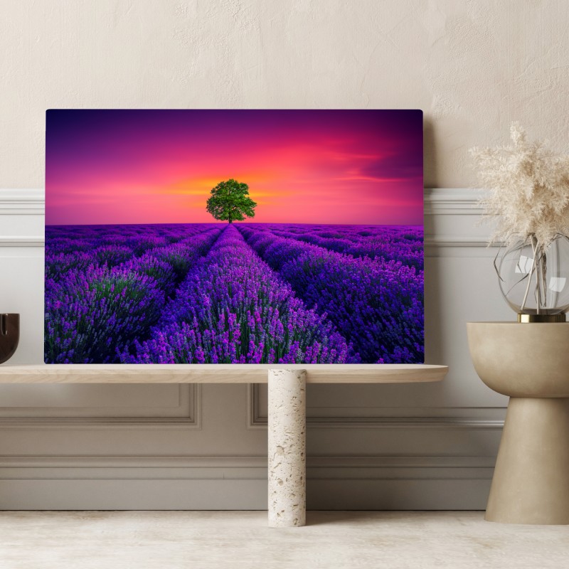 Leinwandbild lavendelfeld bei sonnenuntergang mit einsamem baum – Wallnifity®