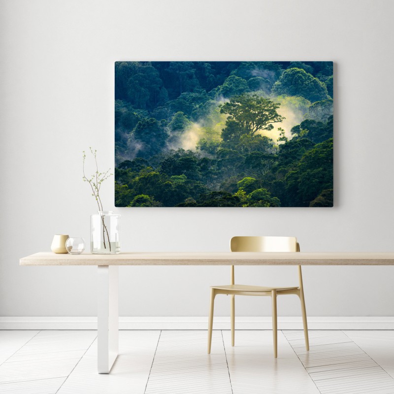 Leinwandbild nebliger regenwald mit baumkronen – Wallnifity® Leinwandbild nebliger regenwald mit baumkronen – Wallnifity®