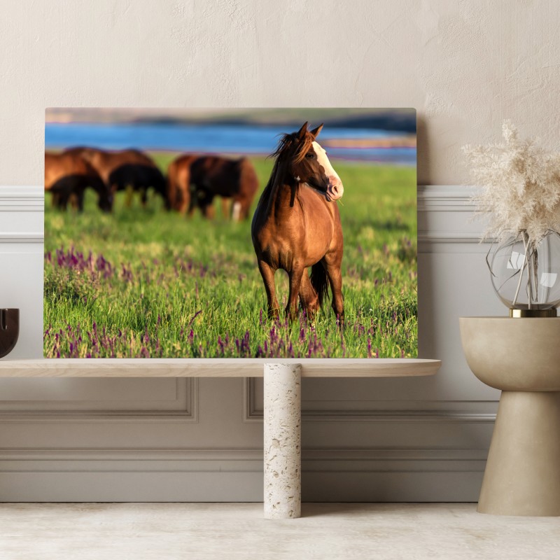 Leinwandbild majestätisches braunes pferd auf einer sonnenbeschienenen wiese – Wallnifity® Leinwandbild majestätisches braunes pferd auf einer sonnenbeschienenen wiese – Wallnifity®