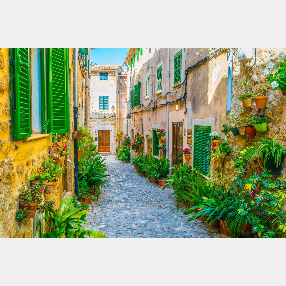 Leinwandbild sonnige gasse mit grünen fensterläden – Wallnifity® Leinwandbild sonnige gasse mit grünen fensterläden – Wallnifity®