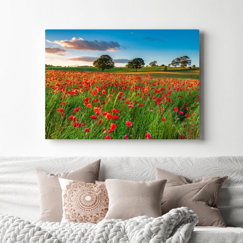 Leinwandbild rotes mohnfeld bei Corbridge – Wallnifity® Leinwandbild rotes mohnfeld bei Corbridge – Wallnifity®