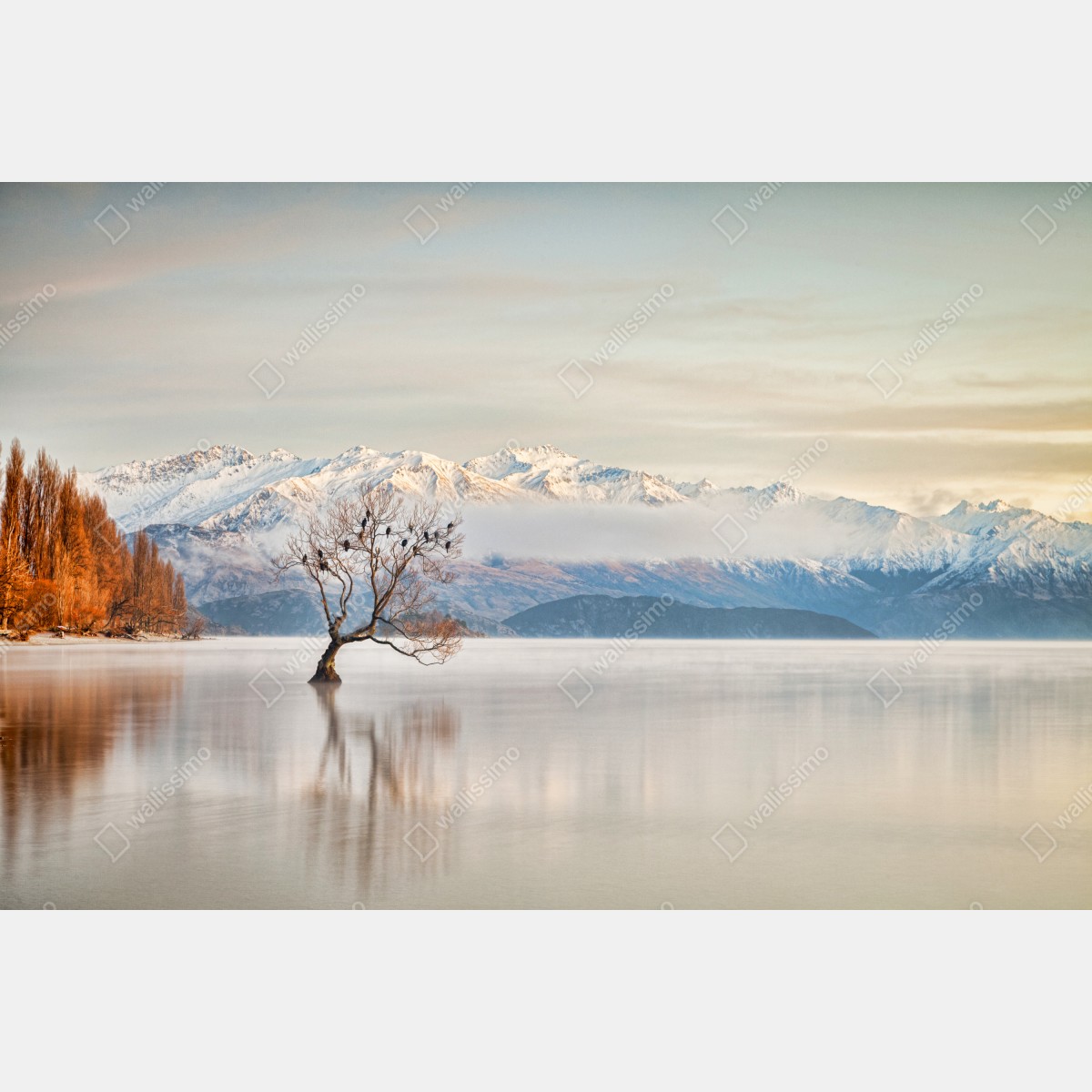 Leinwandbild einsamer baum am see Wanaka – Wallnifity® Leinwandbild einsamer baum am see Wanaka – Wallnifity®