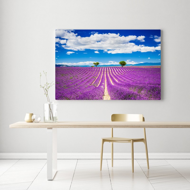 Leinwandbild lavendelfelder in Provence – Wallnifity® Leinwandbild lavendelfelder in Provence – Wallnifity®