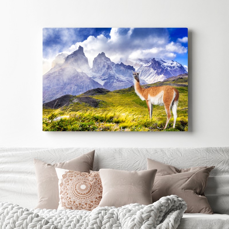 Leinwandbild Torres del Paine Patagonia landschaft mit guanako – Wallnifity® Leinwandbild Torres del Paine Patagonia landschaft mit guanako – Wallnifity®