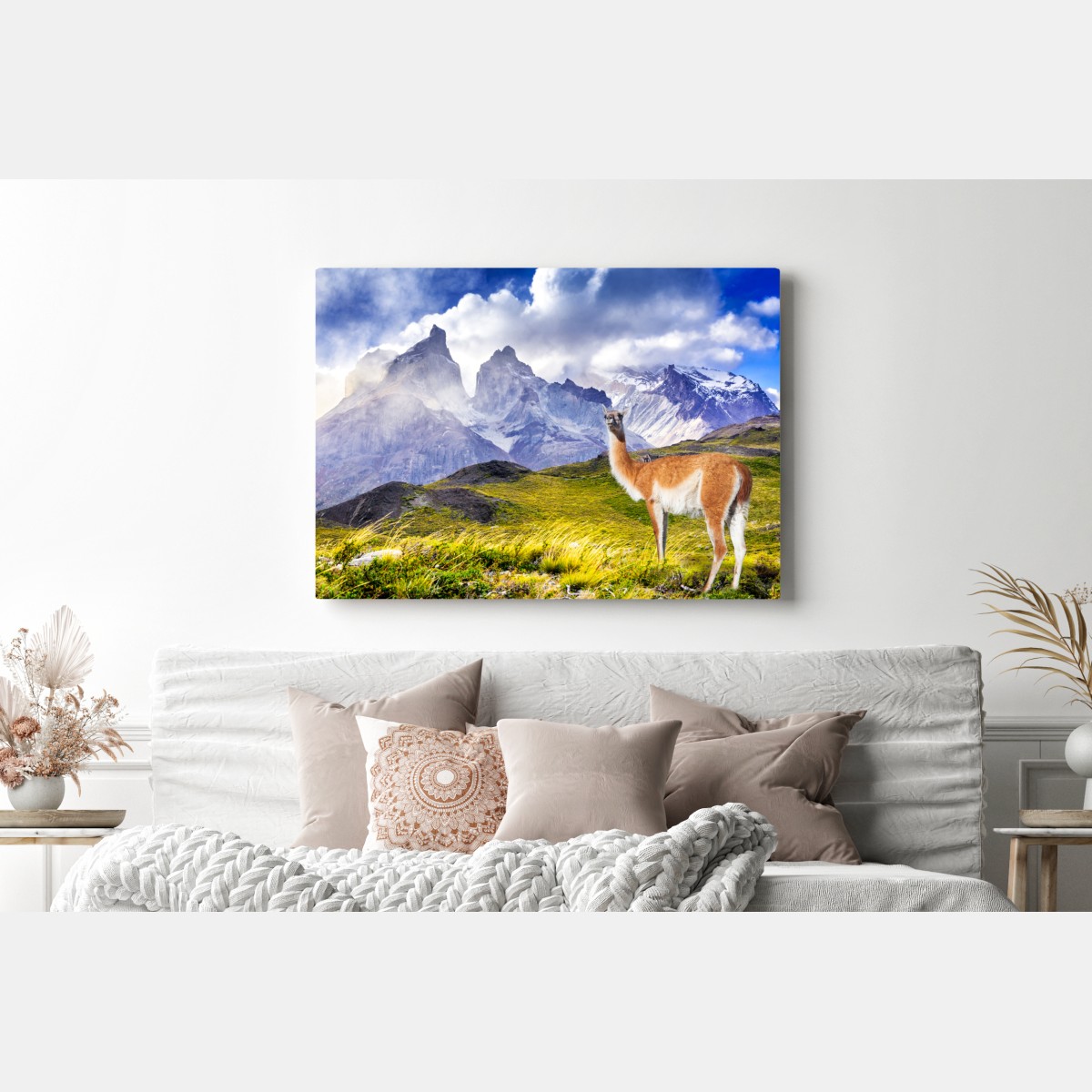 Leinwandbild Torres del Paine Patagonia landschaft mit guanako – Wallnifity® Leinwandbild Torres del Paine Patagonia landschaft mit guanako – Wallnifity®