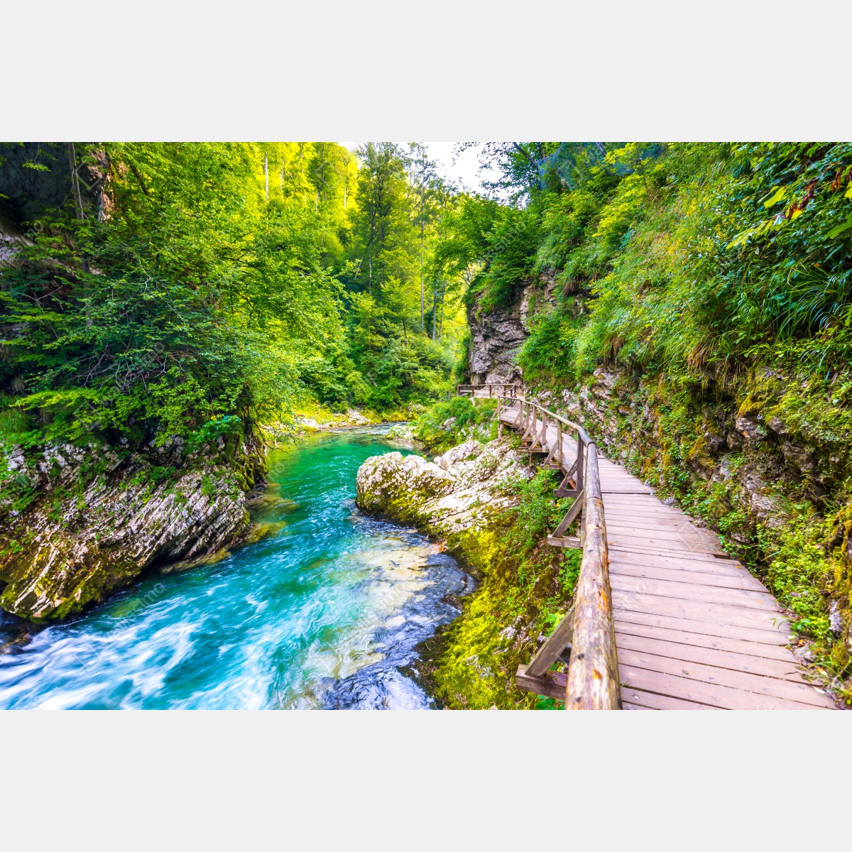 Leinwandbild türkisfarbener fluss und holzsteg im wald – Wallnifity®