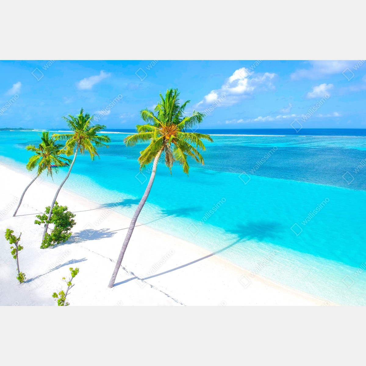 Leinwandbild tropischer türkisfarbener strand mit palmen – Wallnifity® Leinwandbild tropischer türkisfarbener strand mit palmen – Wallnifity®