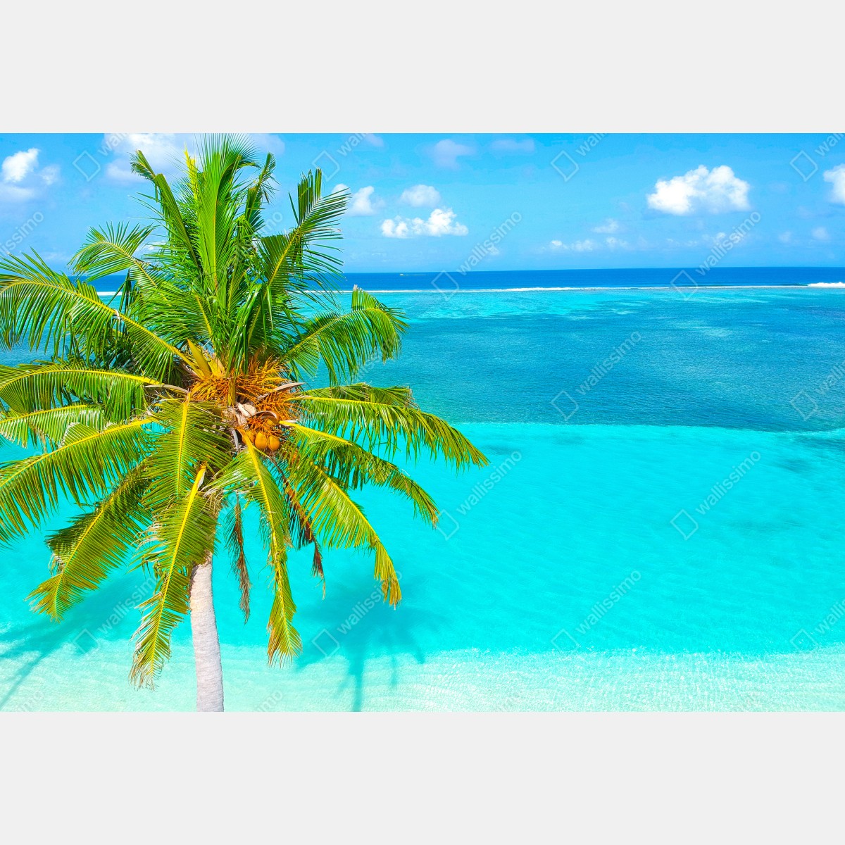 Leinwandbild tropischer türkisstrand mit palme – Wallnifity® Leinwandbild tropischer türkisstrand mit palme – Wallnifity®