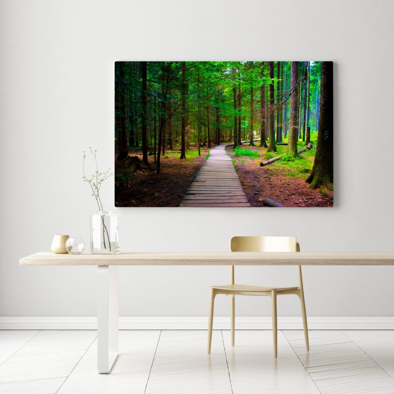 Leinwandbild ruhiger waldsteg im grünen – Wallnifity® Leinwandbild ruhiger waldsteg im grünen – Wallnifity®