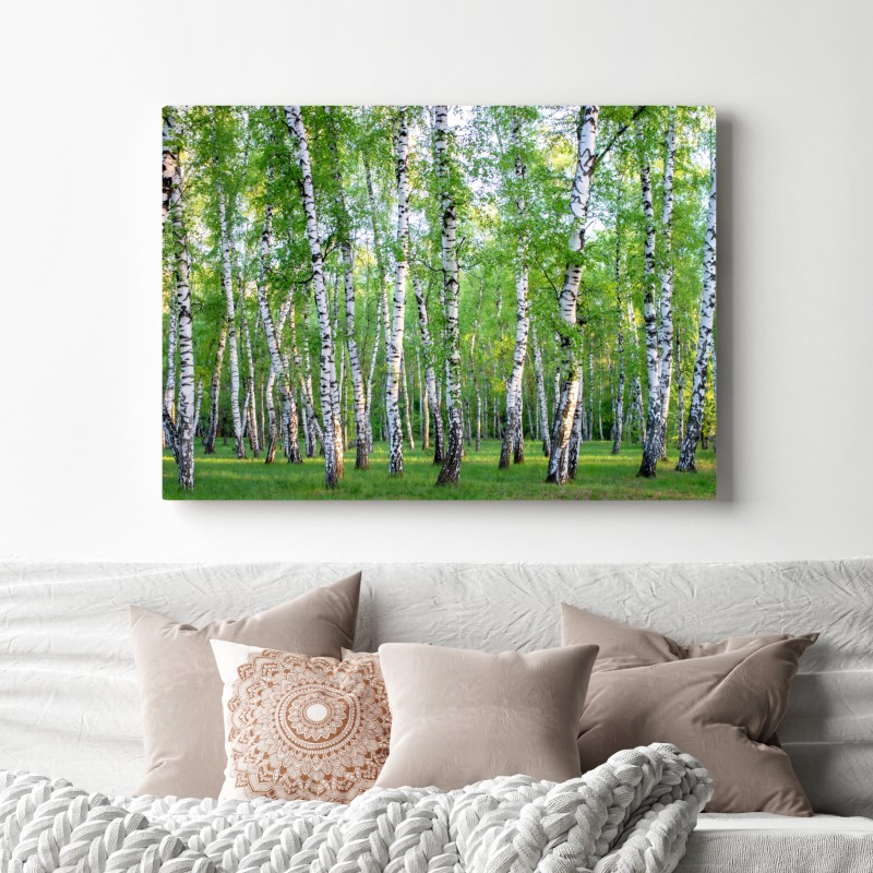Leinwandbild ruhiger birkenhain im sommer – Wallnifity® Leinwandbild ruhiger birkenhain im sommer – Wallnifity®