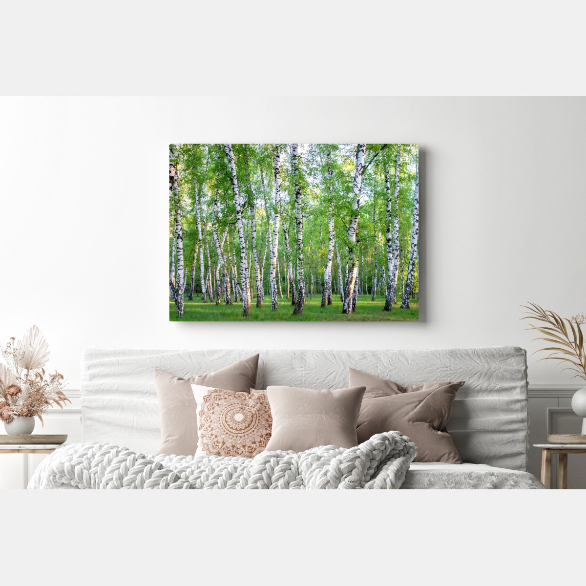 Leinwandbild ruhiger birkenhain im sommer – Wallnifity® Leinwandbild ruhiger birkenhain im sommer – Wallnifity®