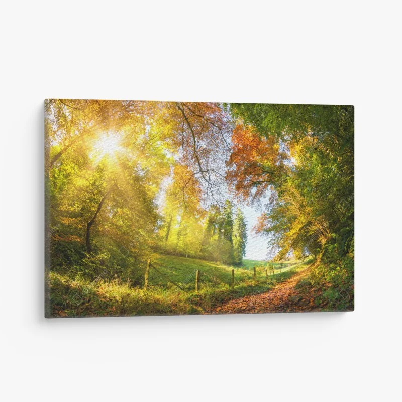 Leinwandbild goldener herbstwaldweg