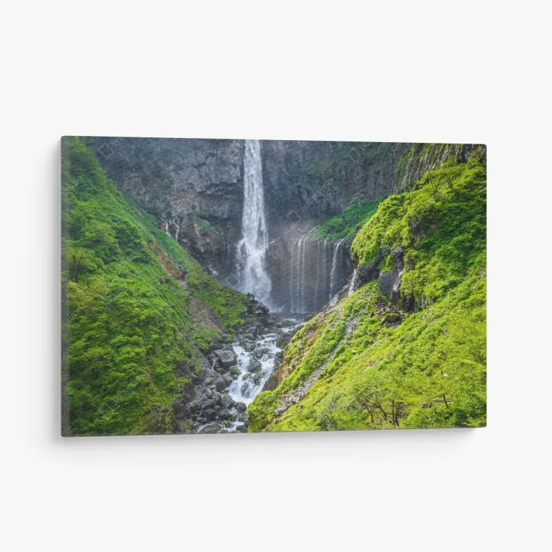 Leinwandbild üppiger tropischer dschungel – Wallnifity®