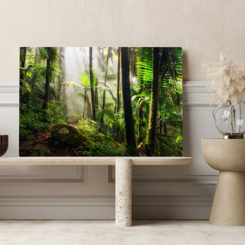Leinwandbild tropischer regenwald mit sonnenstrahlen – Wallnifity® Leinwandbild tropischer regenwald mit sonnenstrahlen – Wallnifity®