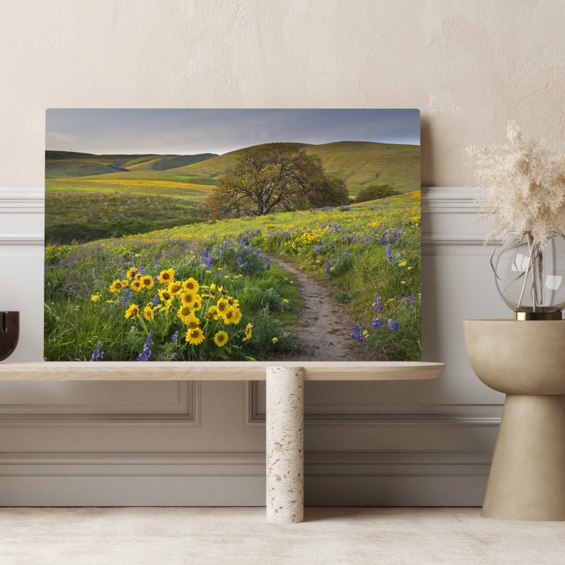 Leinwandbild pfad durch blumenwiese mit eichenbaum – Wallnifity® Leinwandbild pfad durch blumenwiese mit eichenbaum – Wallnifity®