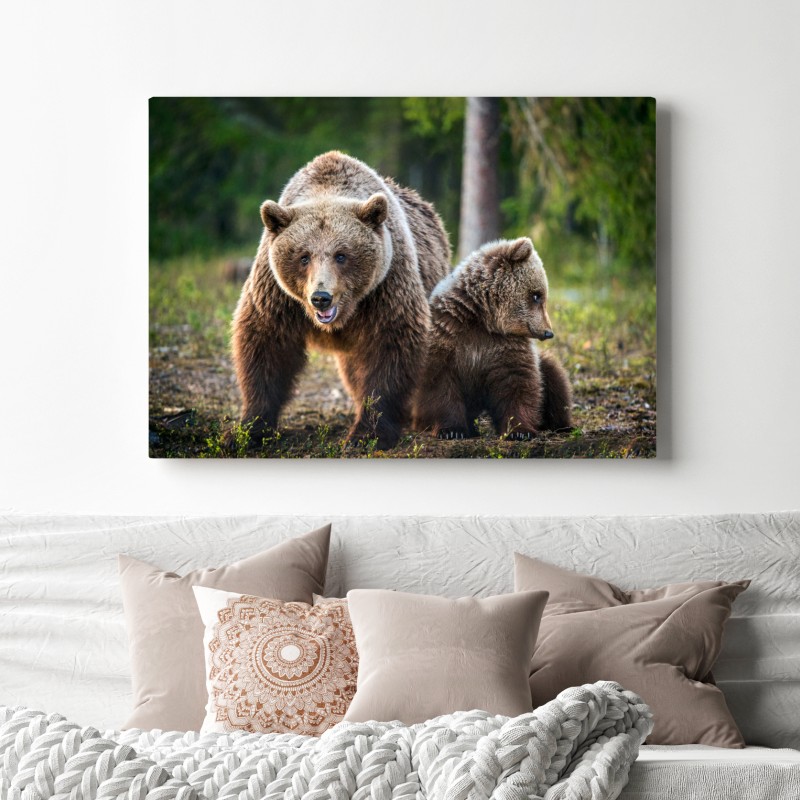 Leinwandbild braunbär mit jungem im wald – Wallnifity® Leinwandbild braunbär mit jungem im wald – Wallnifity®