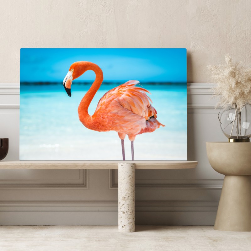Leinwandbild leuchtender rosa flamingo am türkisfarbenen strand – Wallnifity® Leinwandbild leuchtender rosa flamingo am türkisfarbenen strand – Wallnifity®