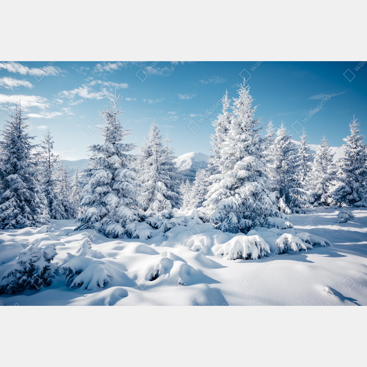 Leinwandbild winterruhe in den Karpaten – Wallnifity® Leinwandbild winterruhe in den Karpaten – Wallnifity®