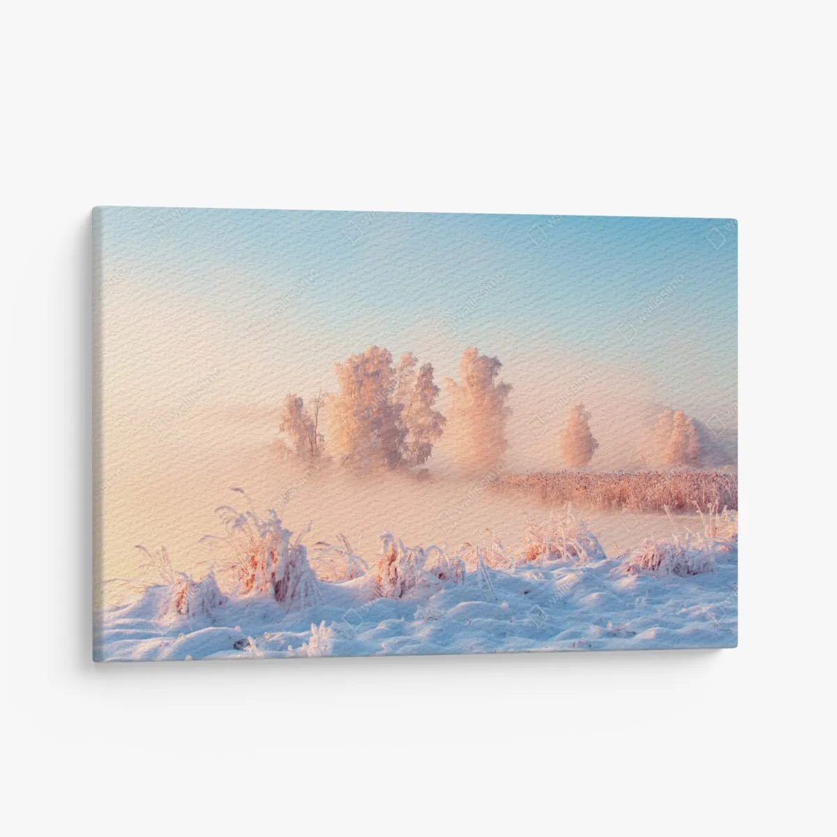 Leinwandbild winterlicher sonnenaufgang über einer frostigen wiese – Wallnifity® Leinwandbild winterlicher sonnenaufgang über einer frostigen wiese – Wallnifity®