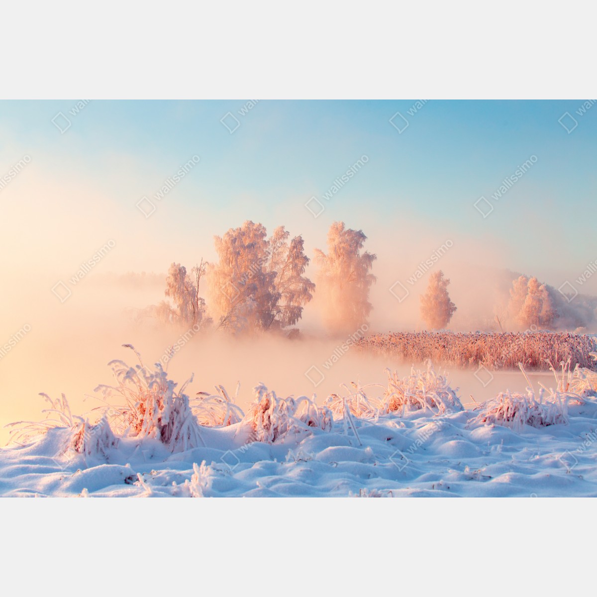 Leinwandbild winterlicher sonnenaufgang über einer frostigen wiese – Wallnifity® Leinwandbild winterlicher sonnenaufgang über einer frostigen wiese – Wallnifity®
