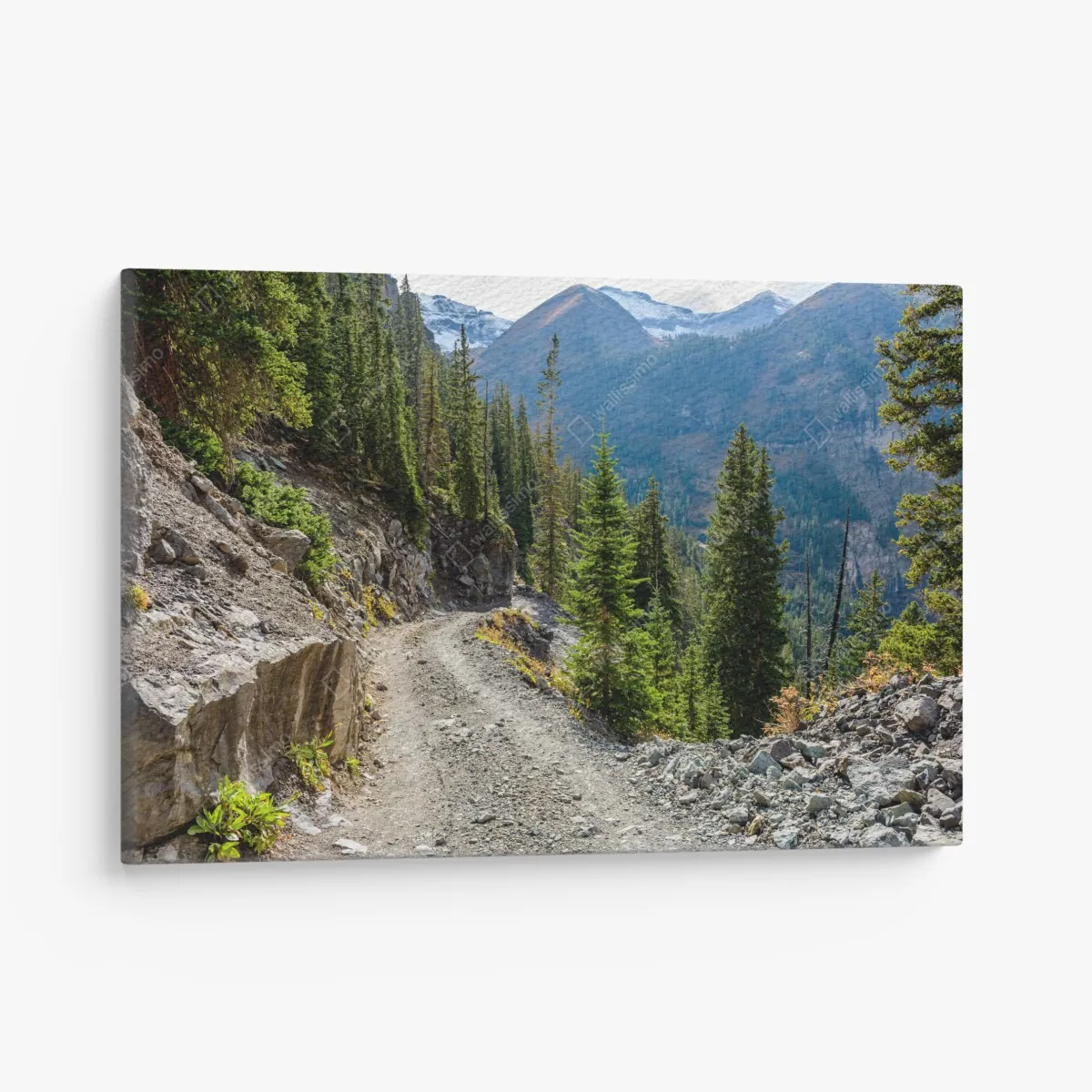 Leinwandbild bergpfad durch alpinen wald – Wallnifity® Leinwandbild bergpfad durch alpinen wald – Wallnifity®