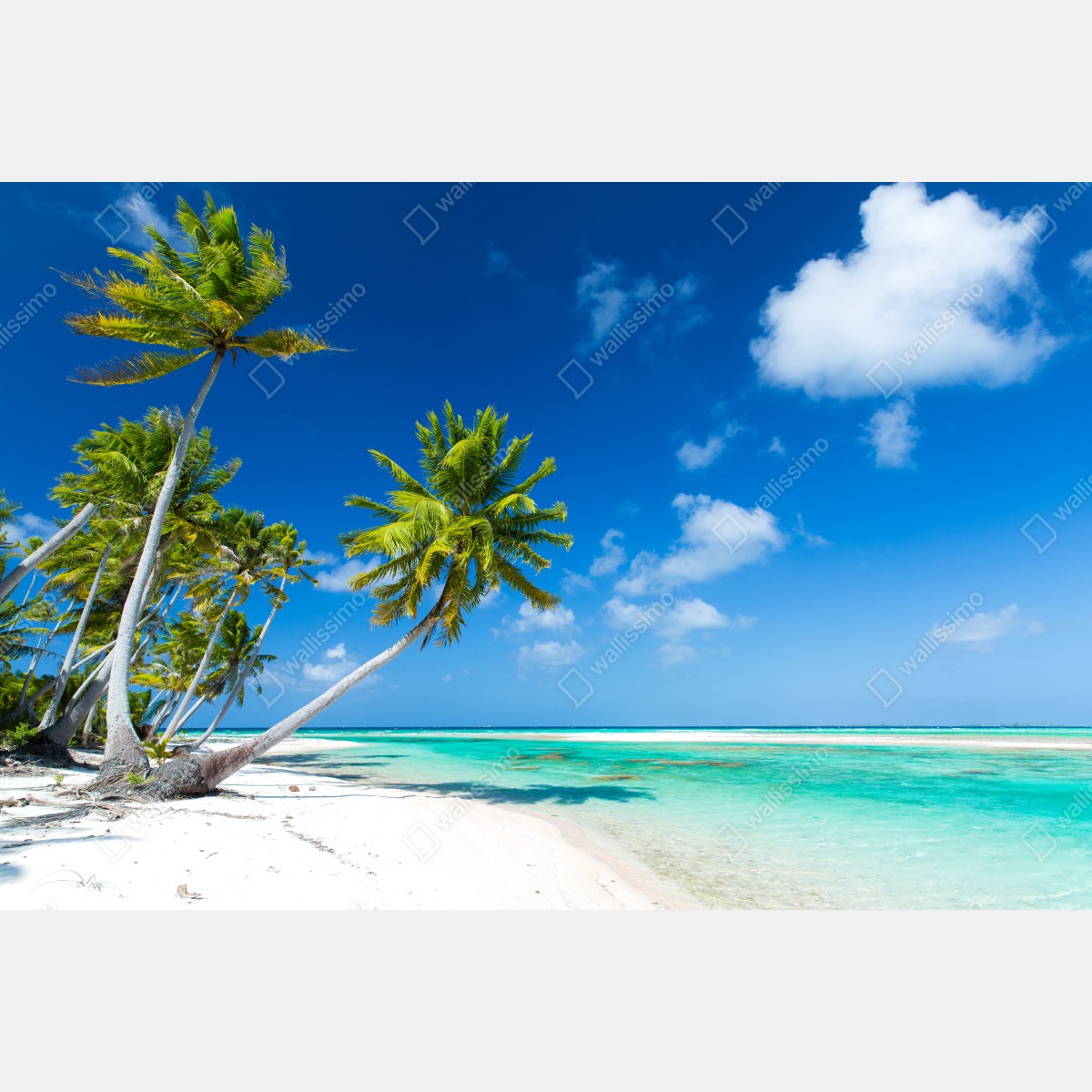 Leinwandbild tropischer strand mit palmen und türkisfarbenem wasser – Wallnifity® Leinwandbild tropischer strand mit palmen und türkisfarbenem wasser – Wallnifity®