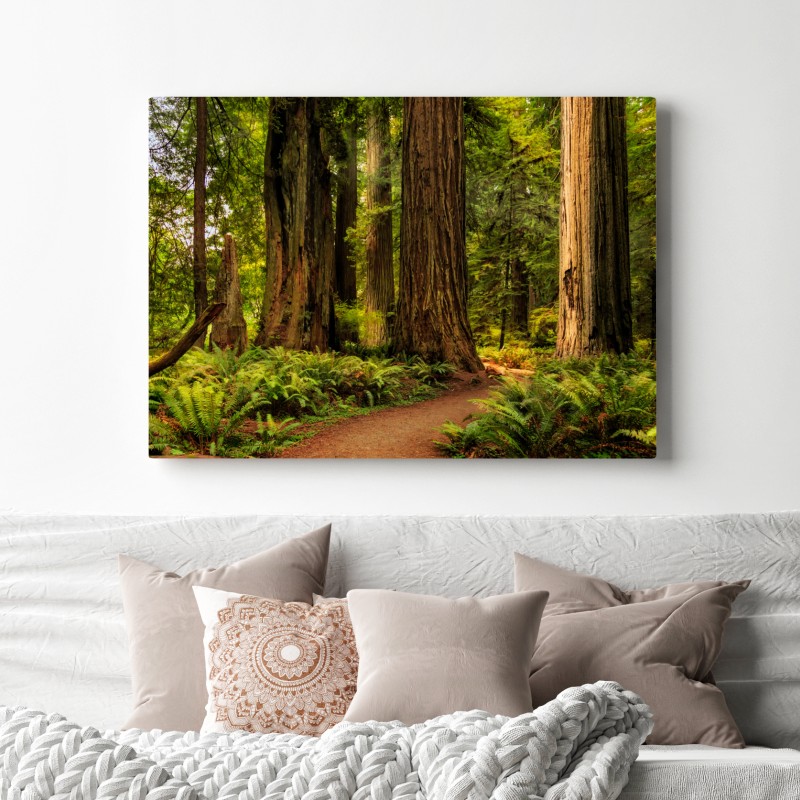 Leinwandbild Kalifornien mammutbäume waldweg – Wallnifity® Leinwandbild Kalifornien mammutbäume waldweg – Wallnifity®