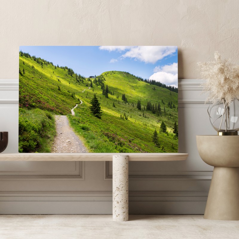 Leinwandbild sonniger bergpfad durch grüne wiese – Wallnifity® Leinwandbild sonniger bergpfad durch grüne wiese – Wallnifity®