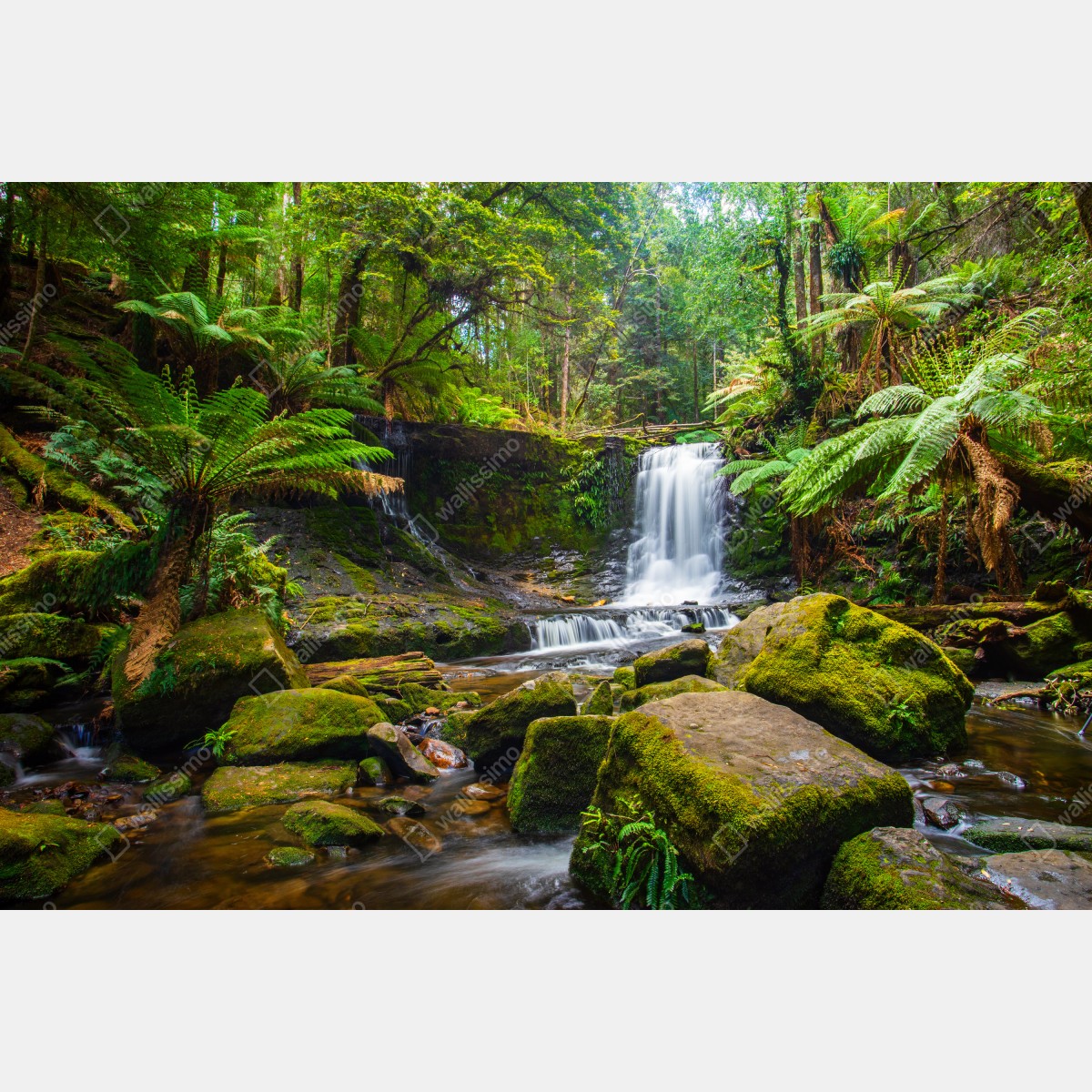 Leinwandbild üppiger waldwasserfall – Wallnifity® Leinwandbild üppiger waldwasserfall – Wallnifity®