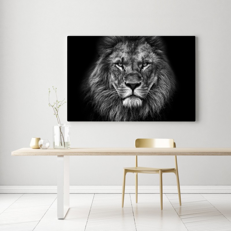 Leinwandbild majestätisches löwenportrait in monochrom – Wallnifity®