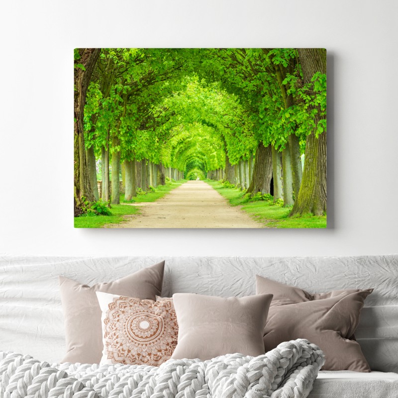 Leinwandbild grüner baumtunnel – Wallnifity® Leinwandbild grüner baumtunnel – Wallnifity®