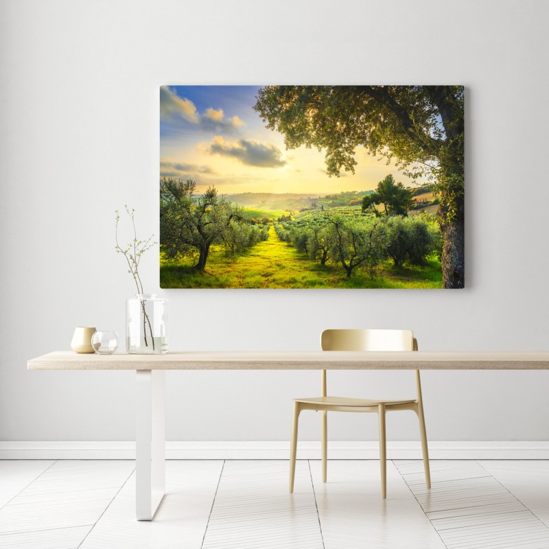 Leinwandbild olivenhain bei sonnenuntergang in Maremma, Toskana – Wallnifity® Leinwandbild olivenhain bei sonnenuntergang in Maremma, Toskana – Wallnifity®