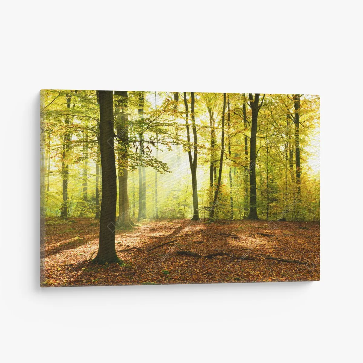 Leinwandbild goldener herbstwald am morgen – Wallnifity® Leinwandbild goldener herbstwald am morgen – Wallnifity®