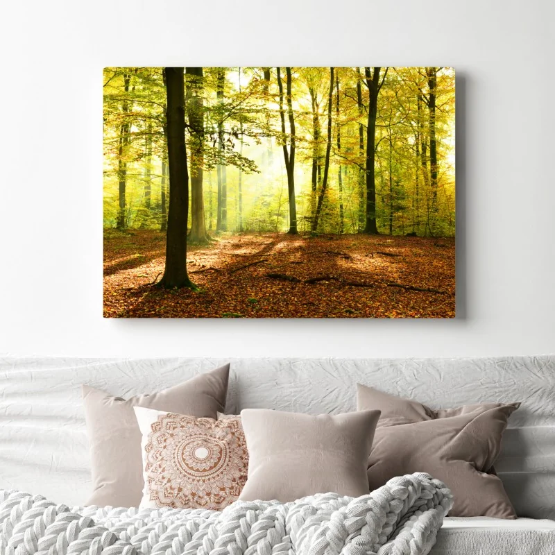 Leinwandbild goldener herbstwald am morgen – Wallnifity® Leinwandbild goldener herbstwald am morgen – Wallnifity®
