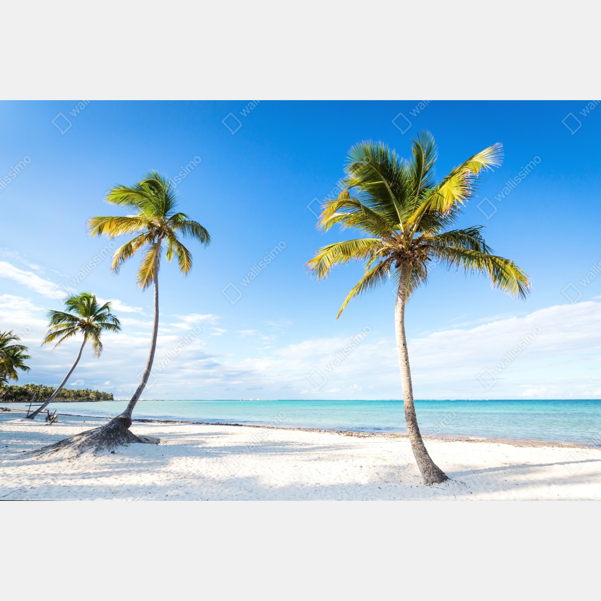 Leinwandbild tropischer palmenstrand – Wallnifity® Leinwandbild tropischer palmenstrand – Wallnifity®