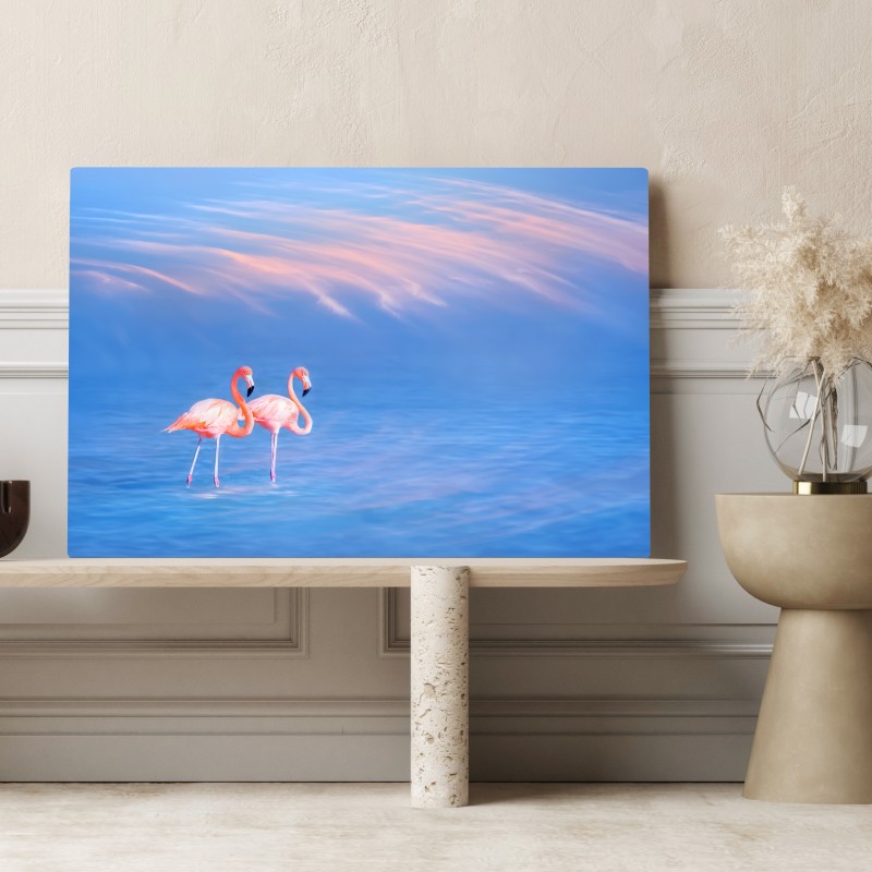 Leinwandbild rosa flamingos auf pastellfarbenem wasser – Wallnifity® Leinwandbild rosa flamingos auf pastellfarbenem wasser – Wallnifity®