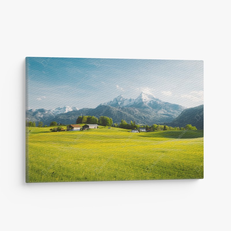 Leinwandbild geometrische makroaufnahme türkiser sukkulente – Wallnifity®