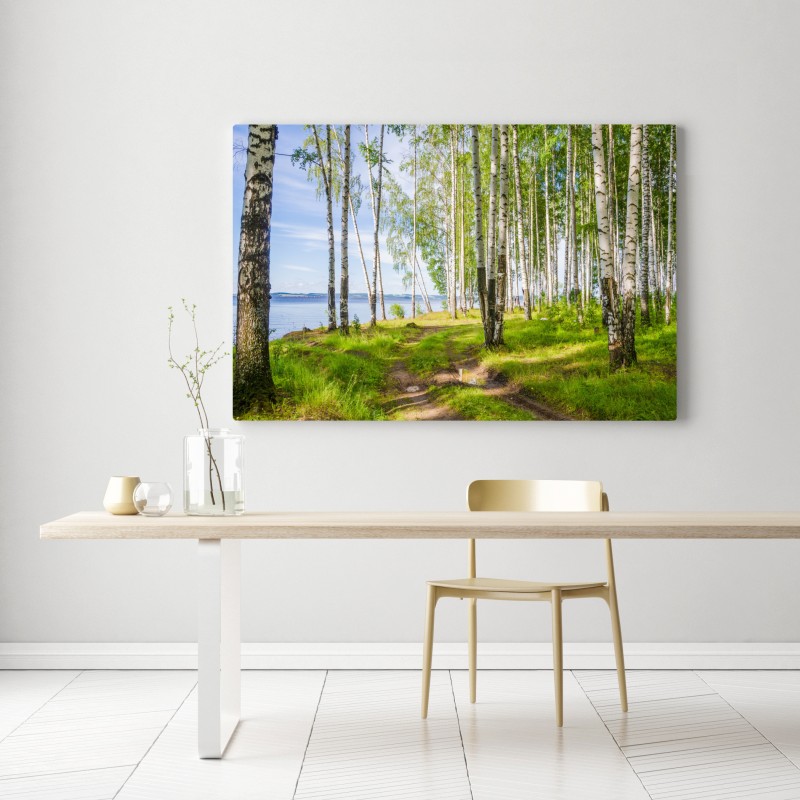 Leinwandbild sonnige birkenlichtung am wasser – Wallnifity® Leinwandbild sonnige birkenlichtung am wasser – Wallnifity®