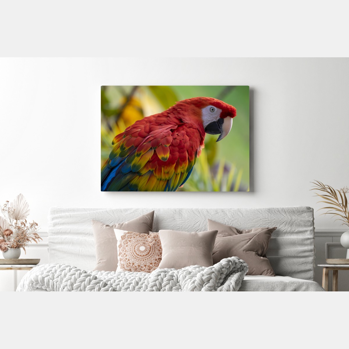 Leinwandbild intensives porträt einer scharlachara – Wallnifity® Leinwandbild intensives porträt einer scharlachara – Wallnifity®