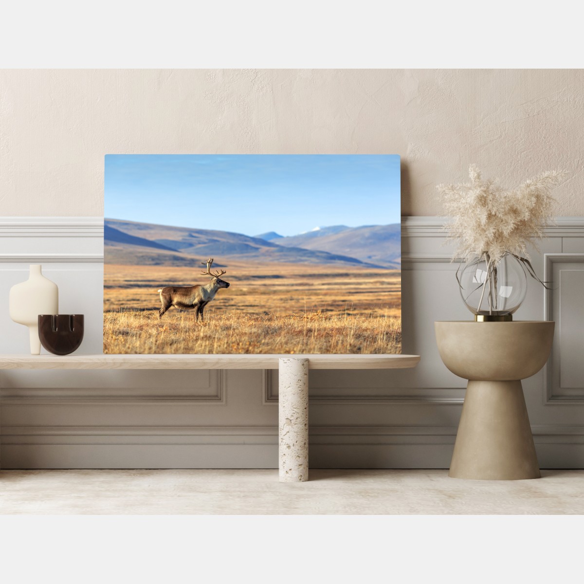 Leinwandbild einsames rentier in der Tundra von Tschukotka – Wallnifity® Leinwandbild einsames rentier in der Tundra von Tschukotka – Wallnifity®