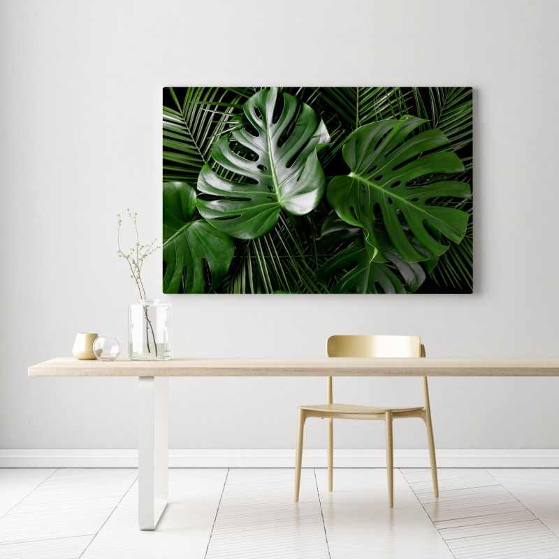 Leinwandbild üppige monstera-blätter – Wallnifity®