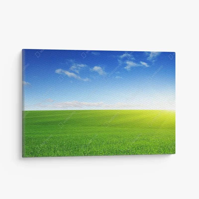 Leinwandbild lebhaftes hibiskusmuster – Wallnifity®