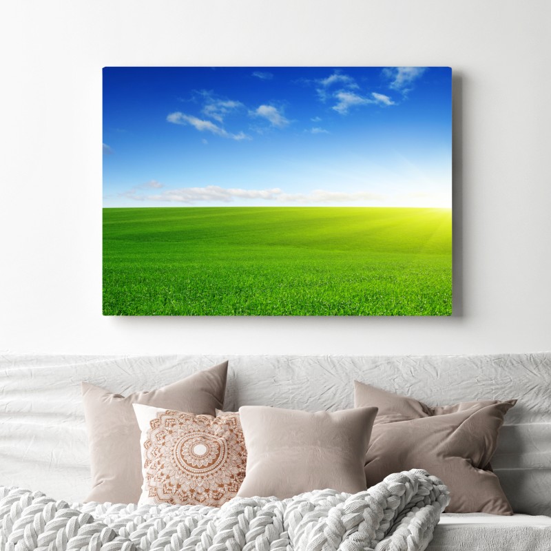 Leinwandbild sonnenbeschienene grüne wiese im morgenlicht – Wallnifity® Leinwandbild sonnenbeschienene grüne wiese im morgenlicht – Wallnifity®