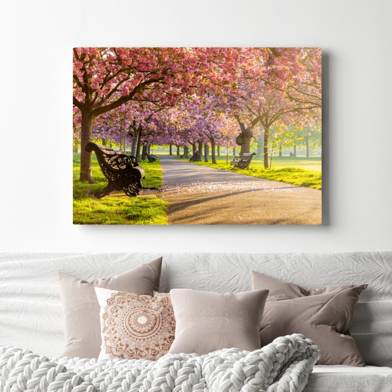 Leinwandbild kirschblütenallee im frühling – Wallnifity® Leinwandbild kirschblütenallee im frühling – Wallnifity®