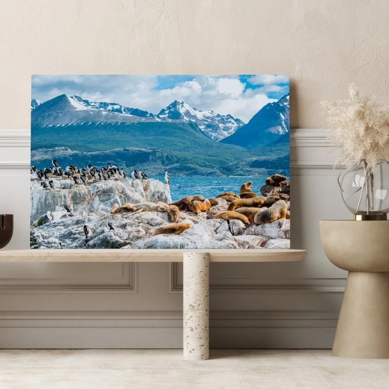 Leinwandbild seelöwen und seevögel an der felsküste – Wallnifity® Leinwandbild seelöwen und seevögel an der felsküste – Wallnifity®