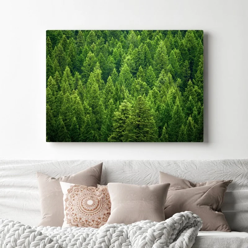 Leinwandbild üppige kronen eines kieferwaldes – Wallnifity® Leinwandbild üppige kronen eines kieferwaldes – Wallnifity®