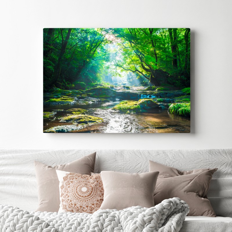 Leinwandbild sonnendurchfluteter waldbach mit moosbedeckten steinen – Wallnifity®