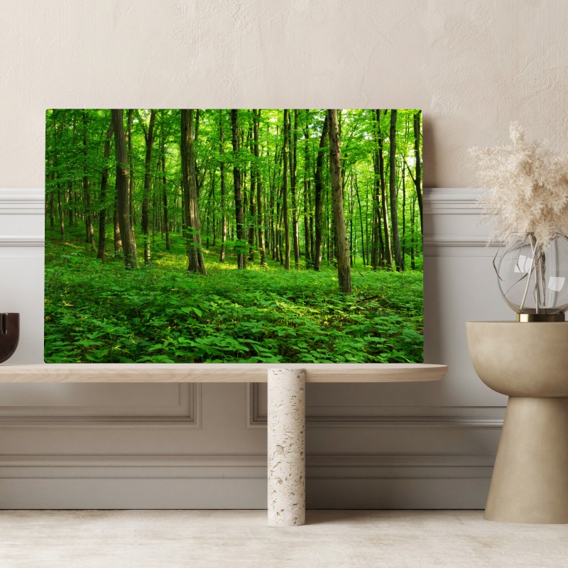 Leinwandbild sonniger grüner wald im frühling – Wallnifity® Leinwandbild sonniger grüner wald im frühling – Wallnifity®