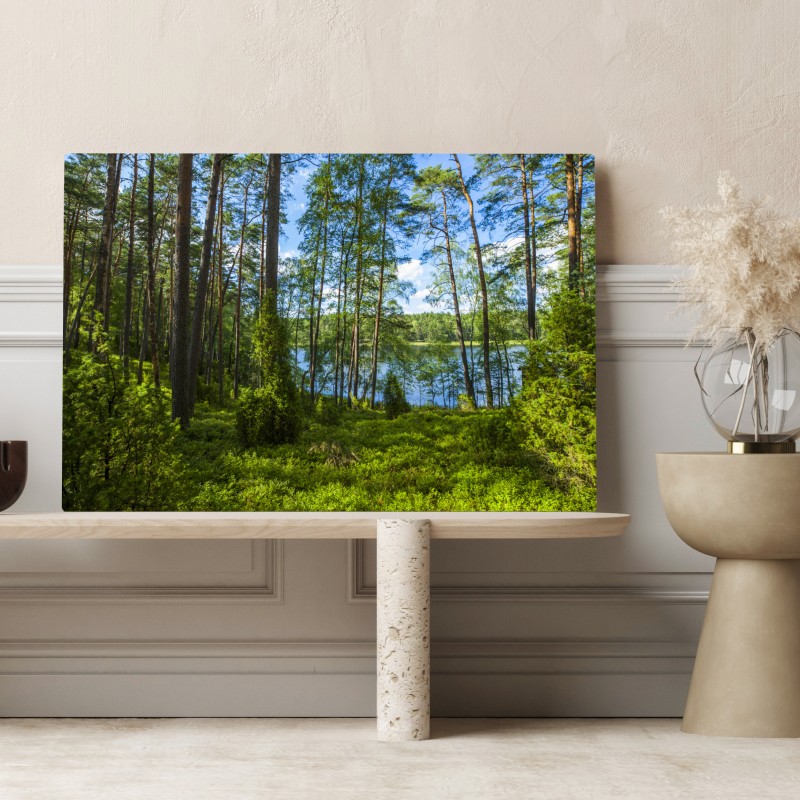 Leinwandbild ruhiger kiefernwald am see – Wallnifity® Leinwandbild ruhiger kiefernwald am see – Wallnifity®