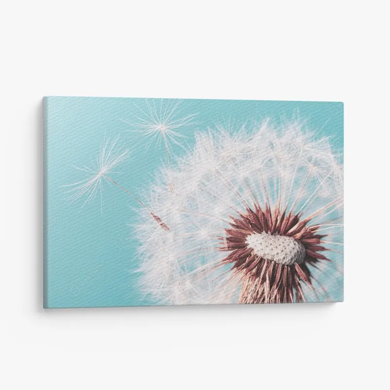 Leinwandbild sonnenbeschienener landweg durch die morgenwiese – Wallnifity®